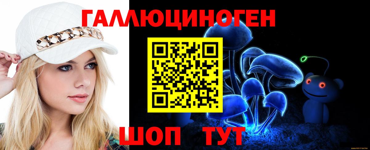 Псилоцибиновые грибы Cubensis  Вход с VPN  хочу наркоту  Красногорск 