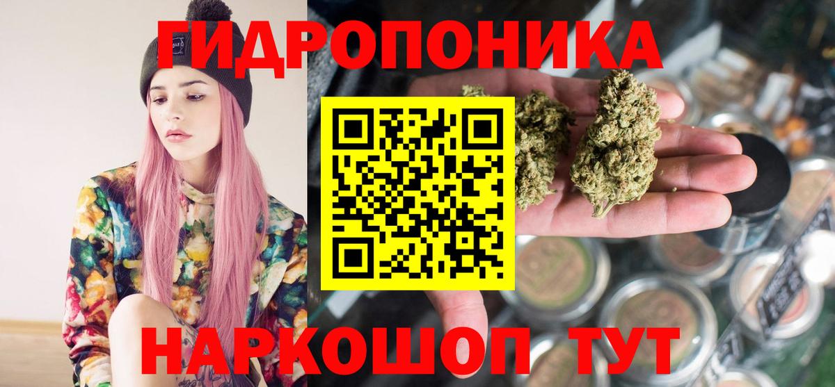 Шишки марихуана марихуана Красногорск